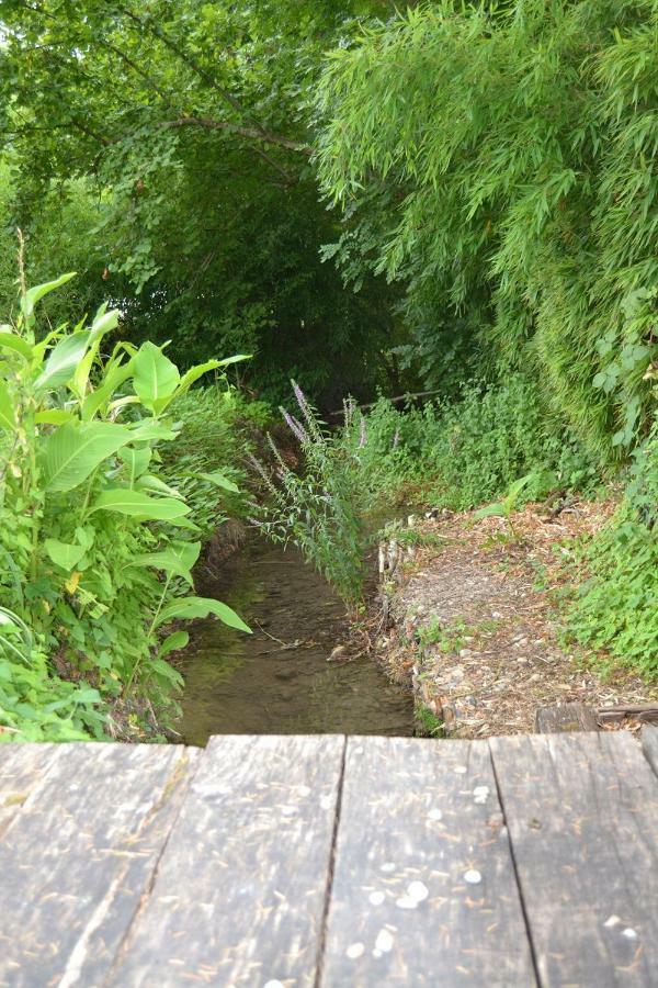 فيلا Manoir Le Bourg, Touffailles المظهر الخارجي الصورة